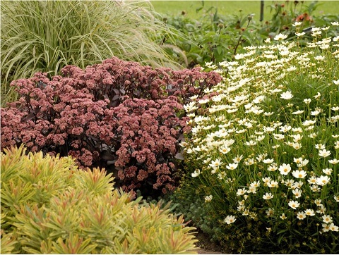 sun-garden.jpg